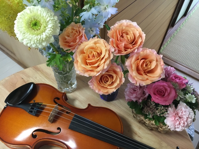花とバイオリン②