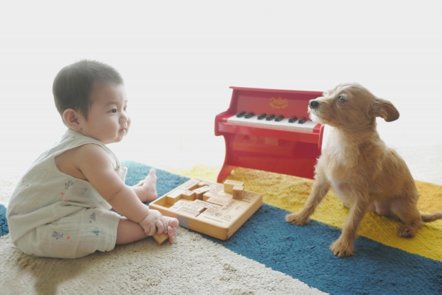 ピアノと子供と犬